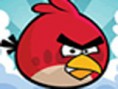 Angry birds